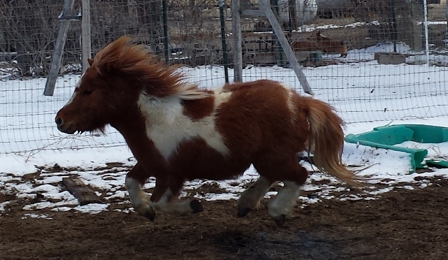 bhimedgarjump 008 (640x372)