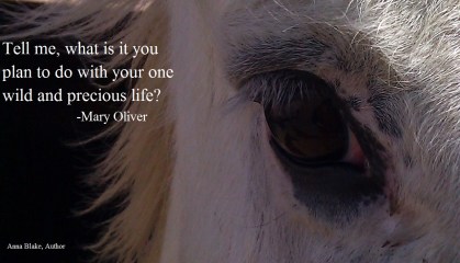 Spirit,Precious life