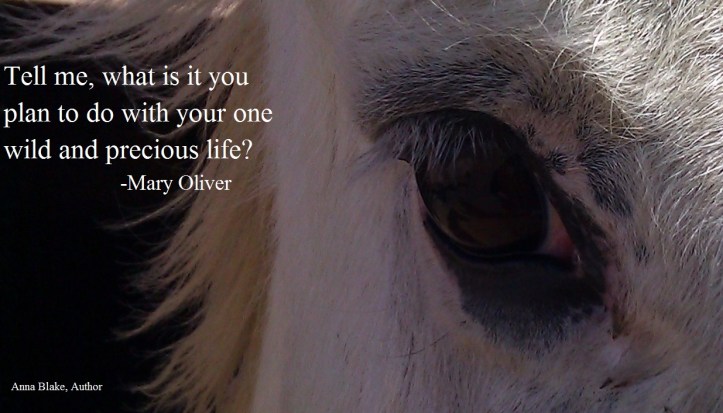 Spirit,Precious life