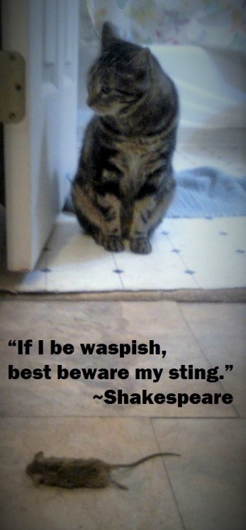 mousekiller Shakespeare