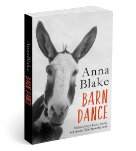 pr-barn-dance-3d-cover
